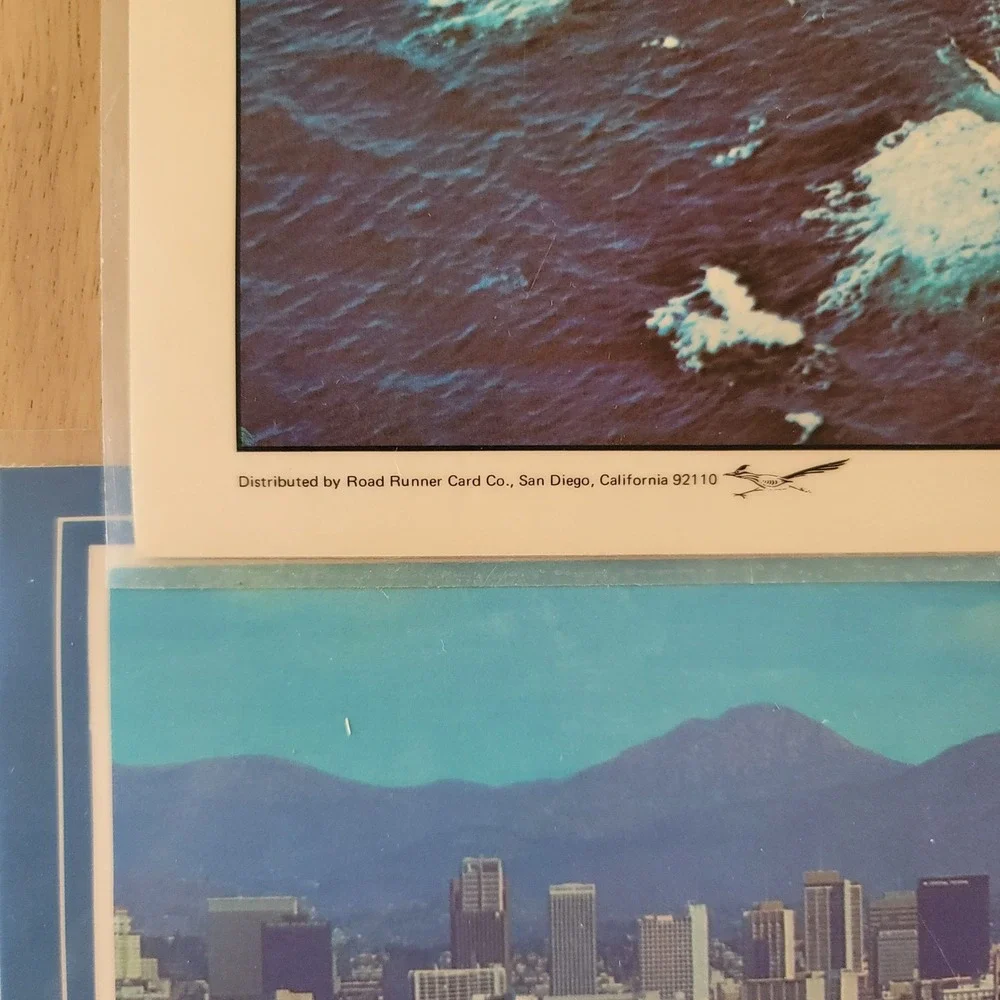 Set of 3 Vtg San Diego Placemats‎ Hotel Del Coronado La Jolla Laminated Souvenir